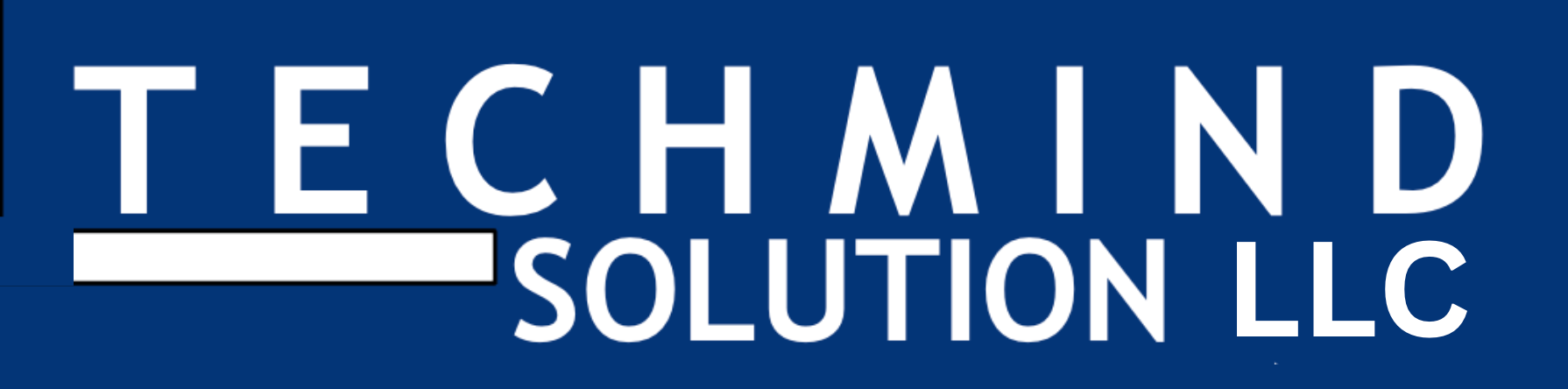 Techmind Solution LLC – Techmind Solution